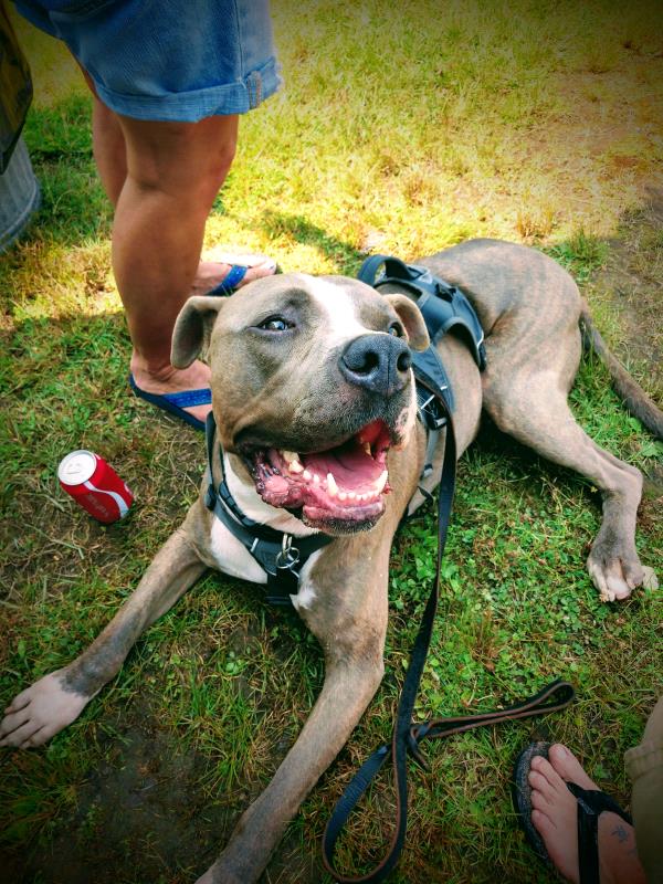 /Images/uploads/Minnesota Spay Neuter Assistance Program/MNSNAP/entries/9401thumb.jpg
